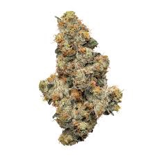 TANGIE SOUFLE